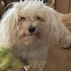 Meet your Posher, Posh